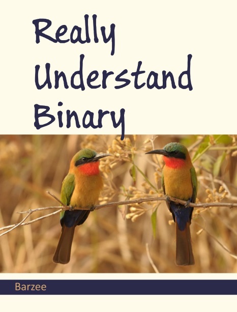 Really Understand Binary