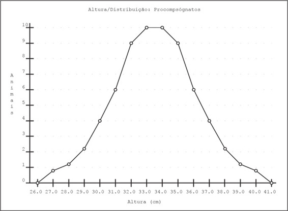 grafico