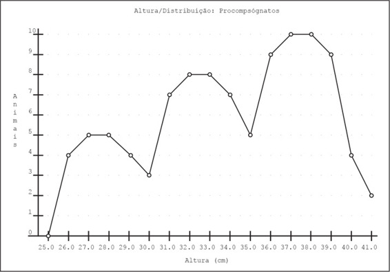 grafico