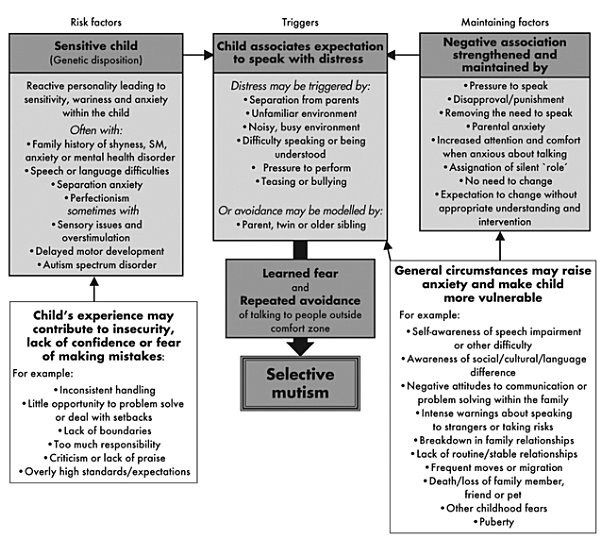 Figure 2.1: Factors contributing to the development of SM