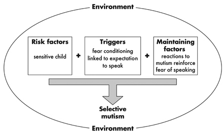 Figure 2.2: Summary of factors contributing to the development of SM