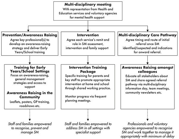 Figure 2.4: Development and implementation of an effective multi-agency care pathway for selective mutism (Source: Smith & Sluckin, 2015, p191. Reproduced with the kind permission of Jessica Kingsley Publishers.)