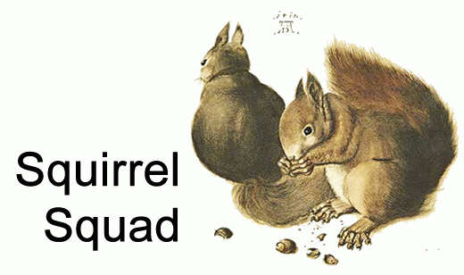 squirrel squad