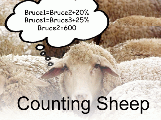 counting sheep