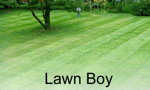 lawn boy