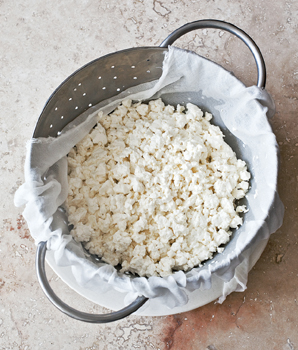 A metal colander lined with white cheese cloth and filled with fresh white curds