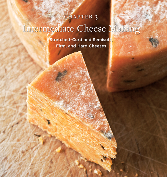 Chapter 3: Intermediate Cheese Making. Stretched-Curd and Semisoft, Firm, and Hard Cheeses