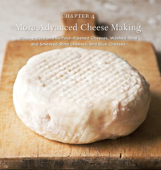 Chapter 4: More Advanced Cheese Making. Bloomy-Rind and Surface-Ripened Cheeses, Washed-Rind and Smeared-Rind Cheeses, and Blue Cheeses