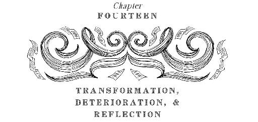 Chapter Fourteen: Transformation, Deterioration, & Reflection