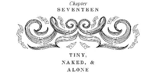 Chapter Seventeen: Tiny, Naked, & Alone