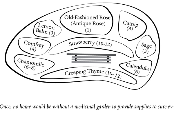 Apothecary Garden