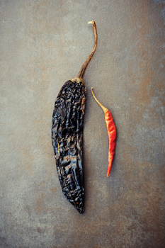 Dried chiles