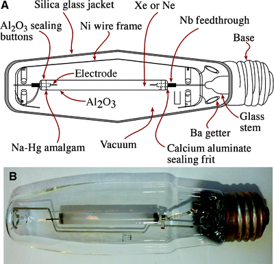 A139260_2_En_32_Fig13_HTML.gif