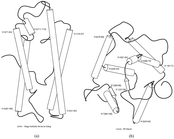 Az (a) és (b) ábra a fehérjemolekula összehajtogatásának tárgyterületén a „négy-helikális fel-és-le köteg” fogalom pozitív és negatív példáját mutatja. Mindkét példa struktúráját egy olyan kb. 100 konjunktív tagot tartalmazó logikai kifejezésbe kódolták, mint amilyen például a TeljesHossz(D2mhr, 118) ∧ HelikálisSzám(D2mhr, 6) ∧ … kifejezés.
