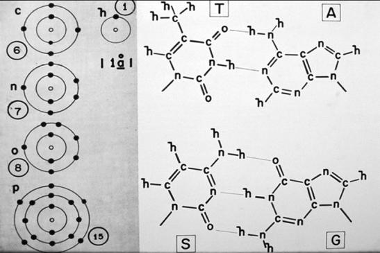 Figure 2. Depictions of the atomic structure of several elements central to life on Earth