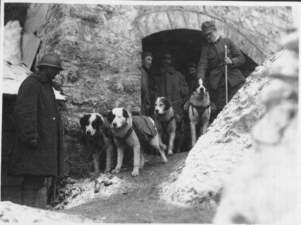 Cani da slitta e militari italiani all’imbocco di una delle gallerie del Pasubio (Museo Centrale del Risorgimento, Roma).