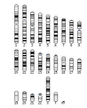 Figure (Graphic7.png)