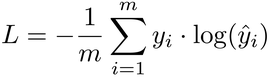 images/formulae/cross_entropy_loss.png