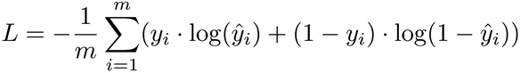 images/formulae/log_loss.png