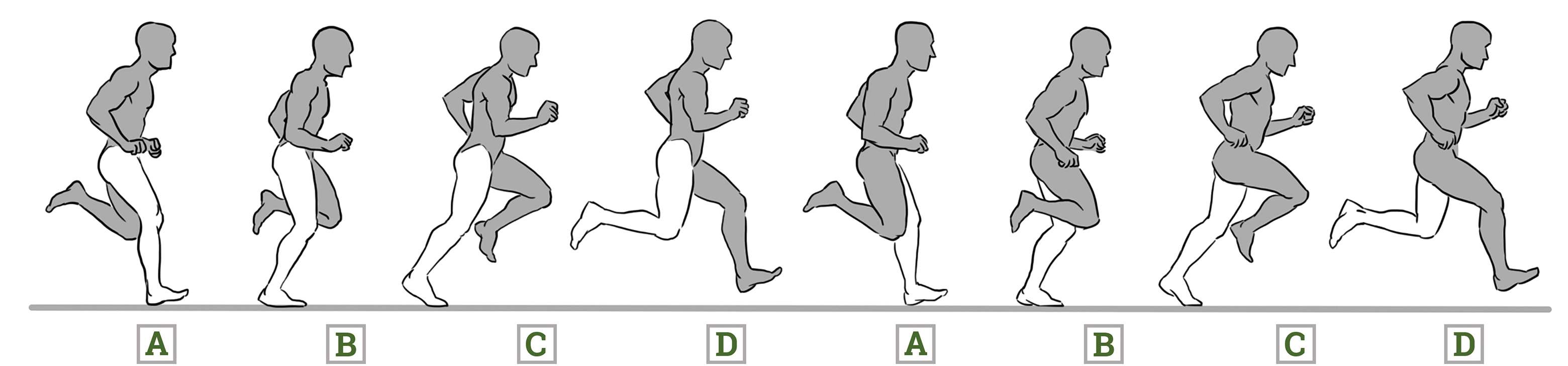 The phases of running