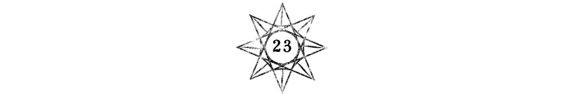 23