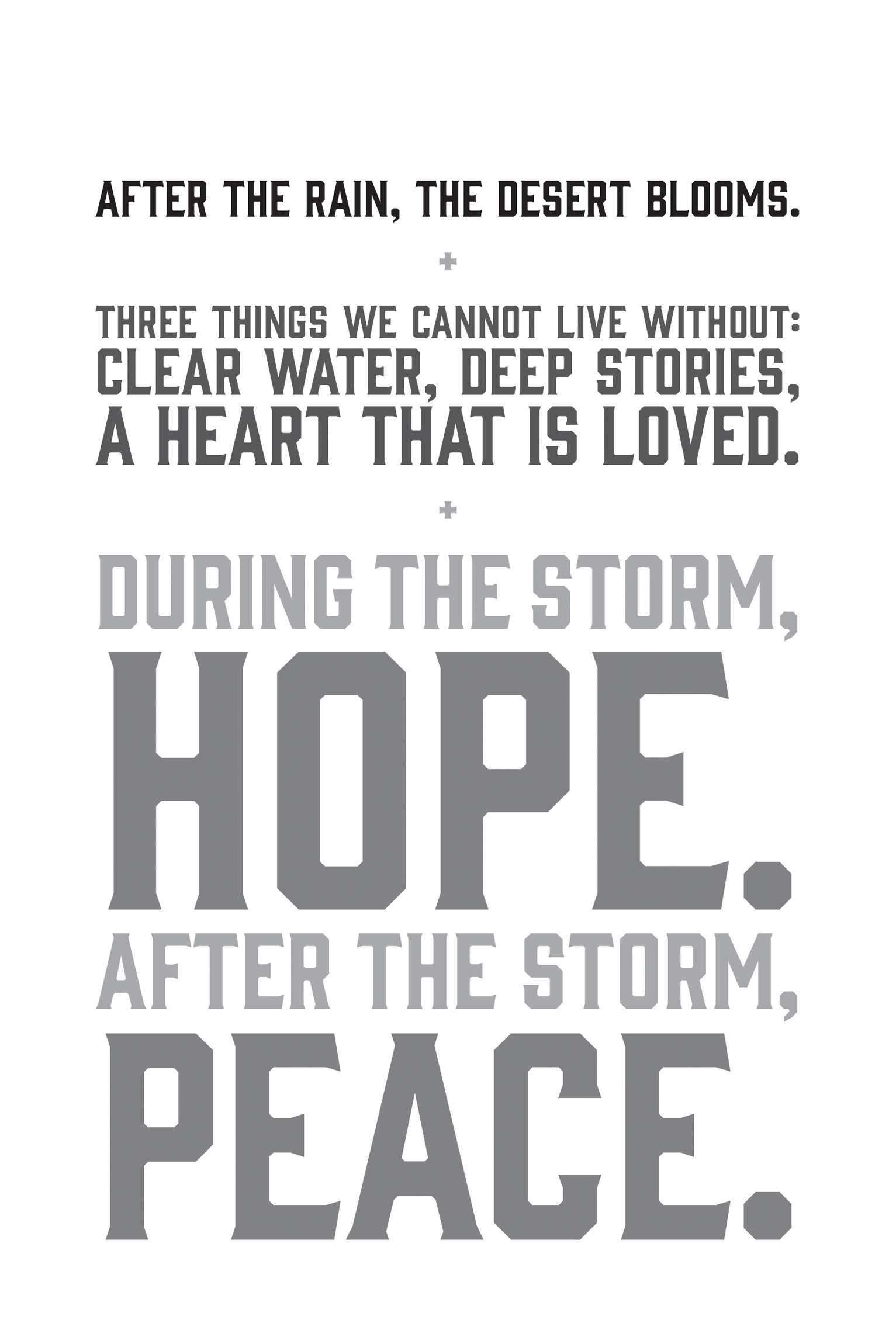 After the rain, the desert blooms. Three things we cannot live without: clear water, deep stories, a heart that is loved.