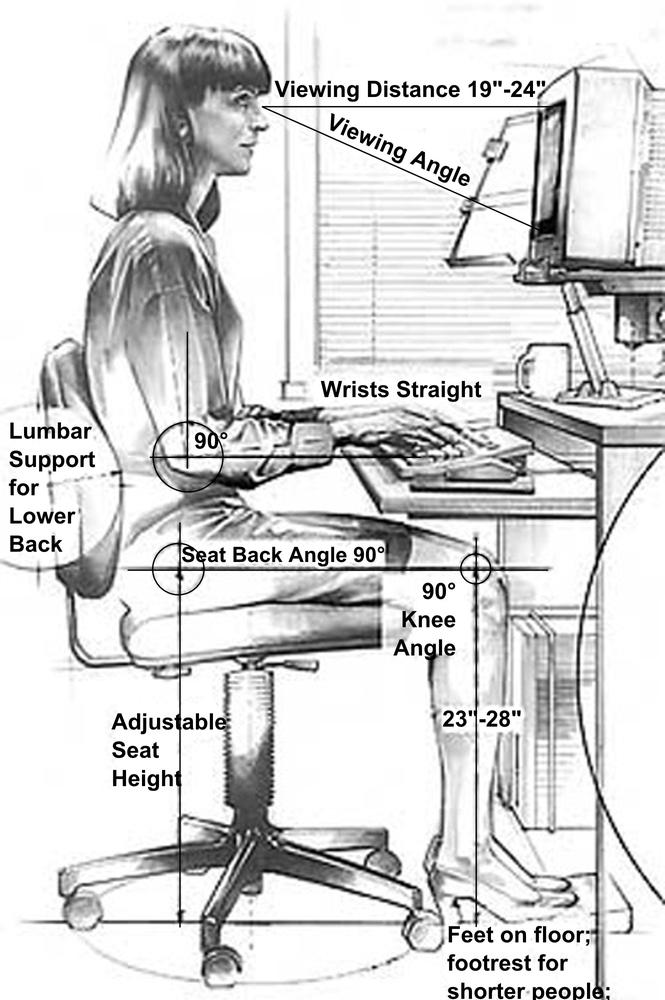 An example of anthropometric measurements (image: public domain)