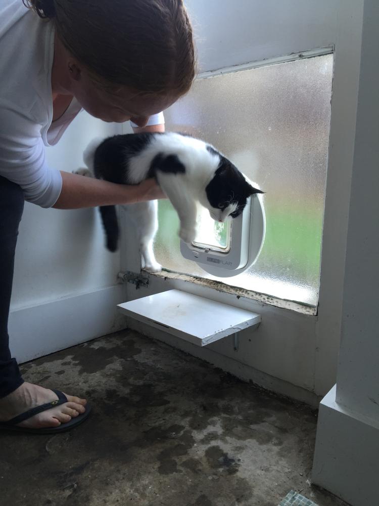 Pairing a cat with the SureFlap cat flap. This process can take some time and effort if the cat has a forceful personality. During this time there is the slight risk that an “unauthorized” cat will attempt to enter the flap while it is in search mode, unwittingly pairing and authorizing themselves while you are chasing your own cat around the house.