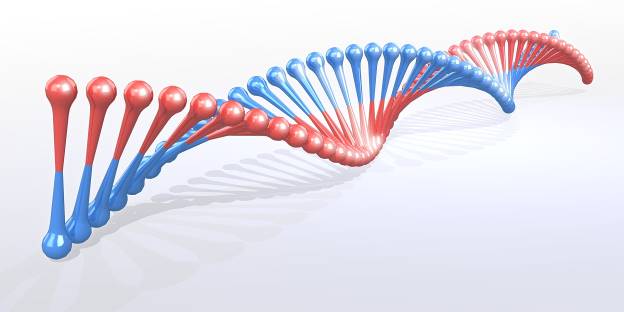 dna-strand-3301568_1920