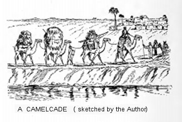 A Camelcade (sketched by the Author)