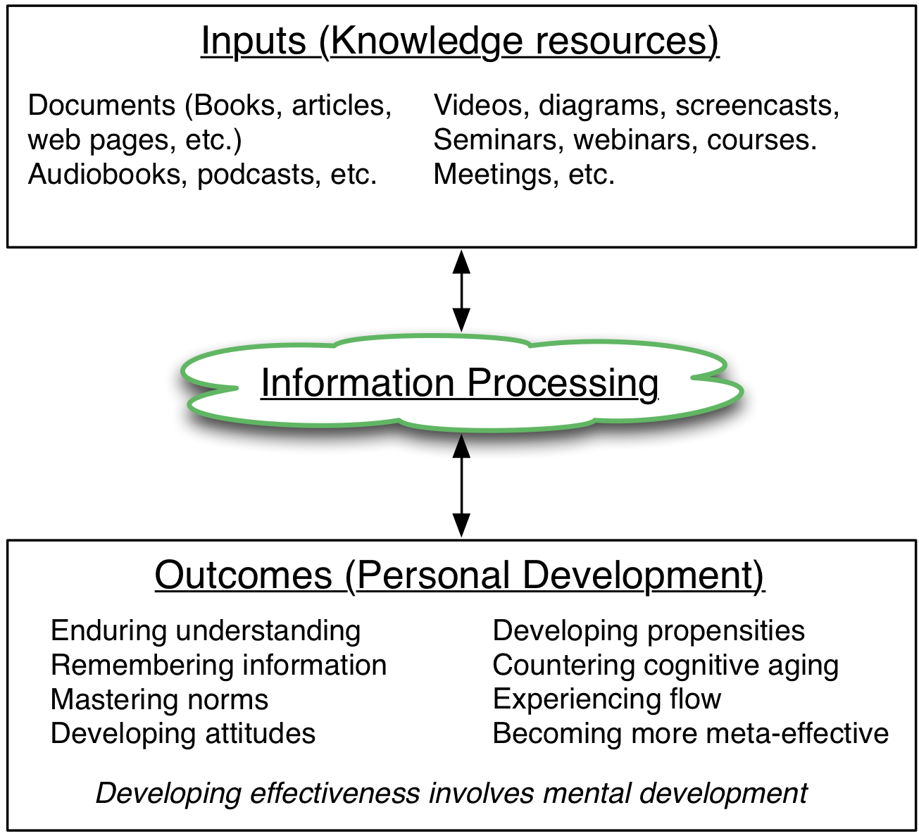 Figure 1.1 Processing knowledge for effectiveness