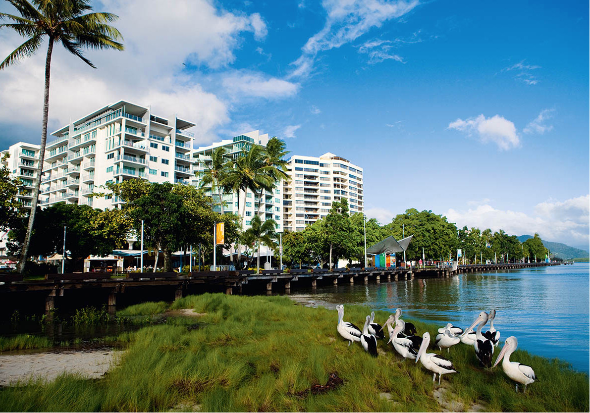 10Qld_Cairns_Birdwatching_04_Australia_EC.jpg