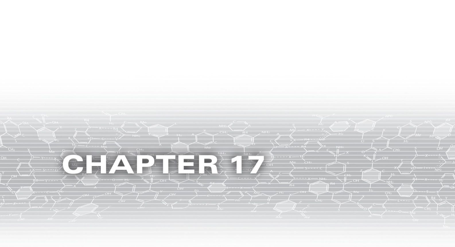 Chapter 17