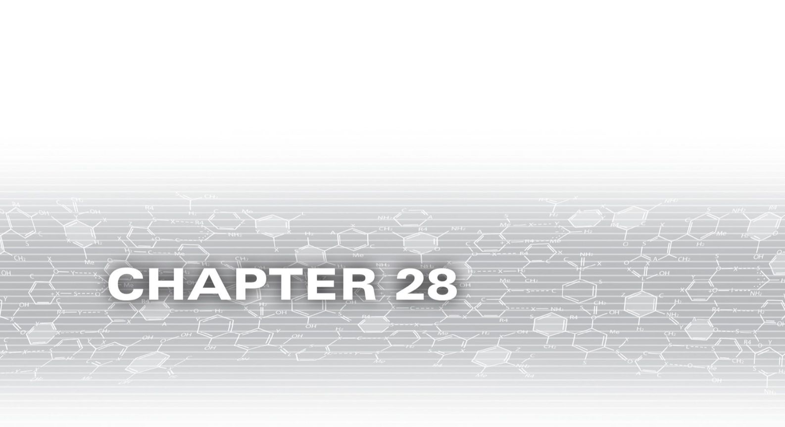 Chapter 28