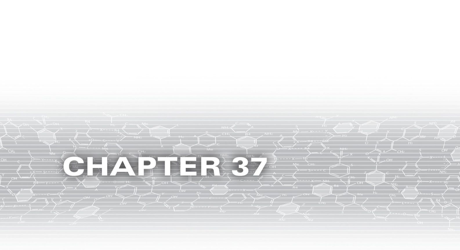Chapter 37