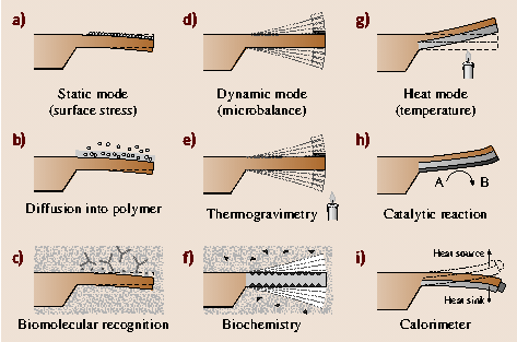 A978-3-540-29857-1_16_Fig3_HTML.png