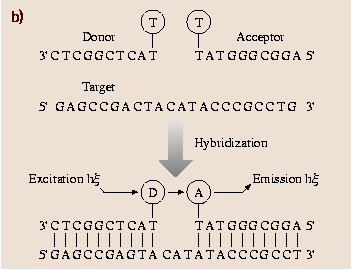 A978-3-540-29857-1_17_Fig11_HTML.png