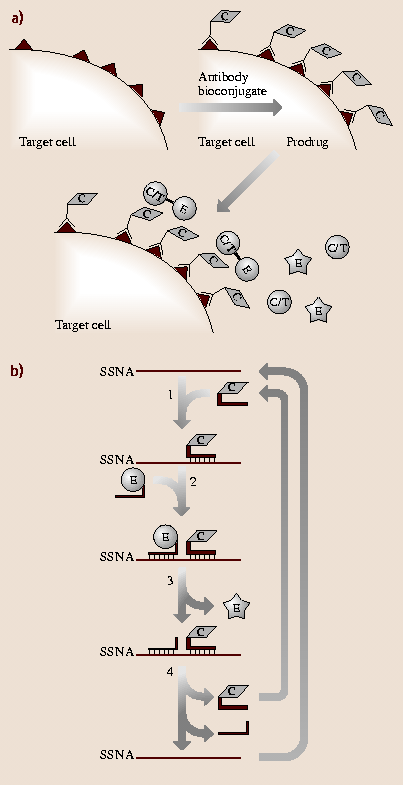 A978-3-540-29857-1_17_Fig17_HTML.png