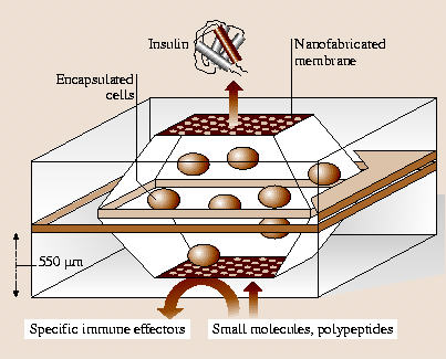 A978-3-540-29857-1_17_Fig20_HTML.png