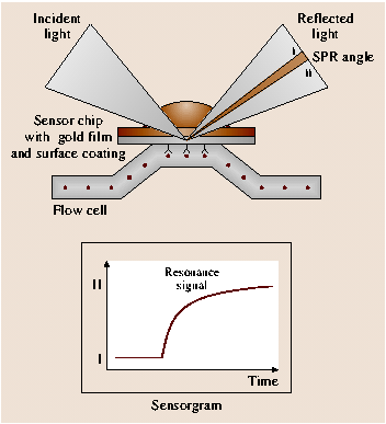 A978-3-540-29857-1_18_Fig4_HTML.png