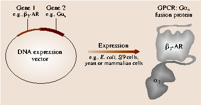 A978-3-540-29857-1_18_Fig9_HTML.png