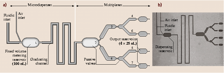 A978-3-540-29857-1_19_Fig20_HTML.png