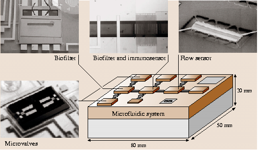 A978-3-540-29857-1_19_Fig22_HTML.png