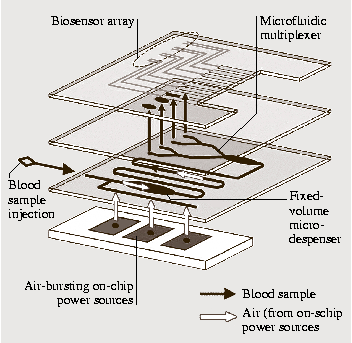 A978-3-540-29857-1_19_Fig27_HTML.png