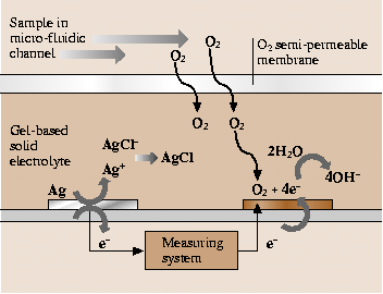 A978-3-540-29857-1_19_Fig29_HTML.png