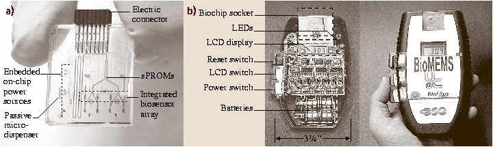 A978-3-540-29857-1_19_Fig30_HTML.png