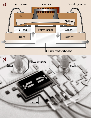 A978-3-540-29857-1_19_Fig8_HTML.png