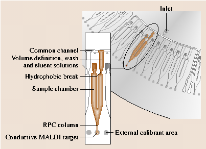 A978-3-540-29857-1_20_Fig11_HTML.png