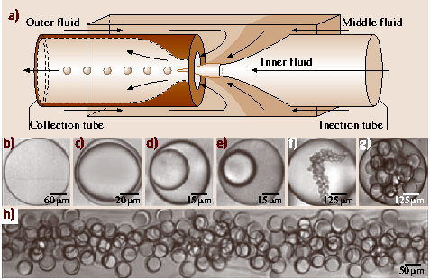 A978-3-540-29857-1_21_Fig11_HTML.png