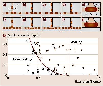 A978-3-540-29857-1_21_Fig16_HTML.png